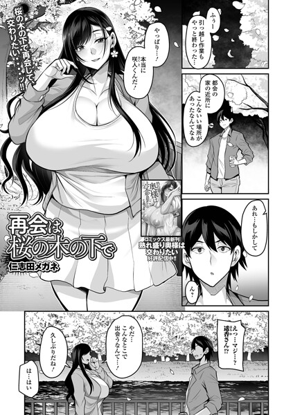 【フル漫画】b164aisis06038 | 再会は桜の木の下で | 仁志田メガネ 一水社編集部